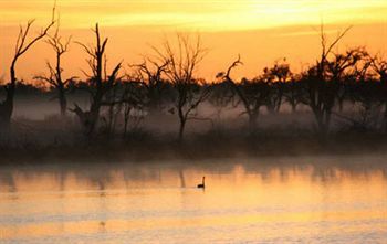 Pike River Luxury Villas Renmark Luaran gambar
